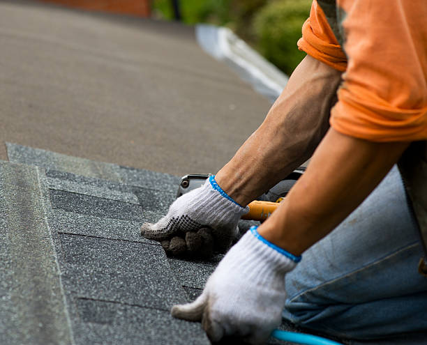 Quick and Trustworthy Emergency Roof Repair Services in Plymouth, MI